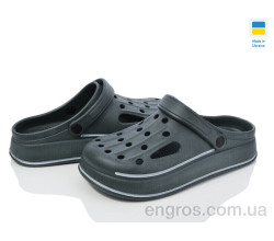 Кроксы Golden Lion